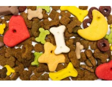 Зимове годування собак: раціон, корми та вітаміни