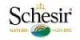 Schesir
