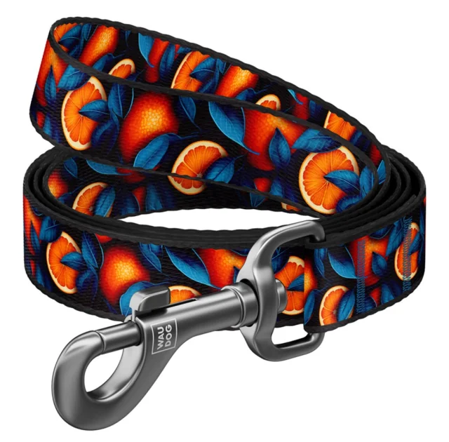 Поводок WAUDOG Nylon для собак, рисунок "Апельсины", S, 1.5 см, 3 м