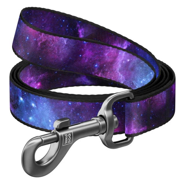Поводок WAUDOG Nylon для собак, рисунок "NASA21", L-XXL, 2.5 см, 2 м