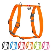 Шлейка WAUDOG Waterproof для собак, водостойкая, анатомическая, H-образная, с QR паспортом, пластиковая пряжка-фастекс, оранжевый, M, 2 см, 40-66 см, 50-80 см