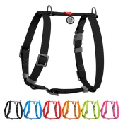 Шлейка WAUDOG Waterproof для собак, водостойкая, анатомическая, H-образная, с QR паспортом, пластиковая пряжка-фастекс, черный, M, 2 см, 40-66 см, 50-80 см