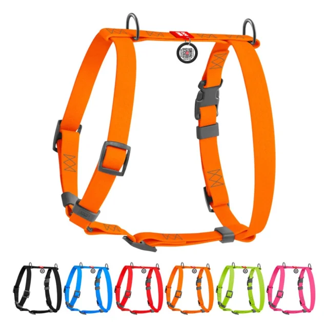Шлейка WAUDOG Waterproof для собак, водостойкая, анатомическая, H-образная, с QR паспортом, пластиковая пряжка-фастекс, оранжевый, XL, 4 см, 60-98 см, 69-110 см
