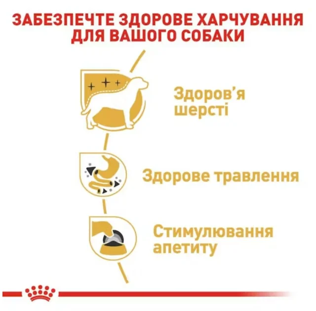 Вологий корм Royal Canin Chihuahua Adult для чихуахуа, 85 г