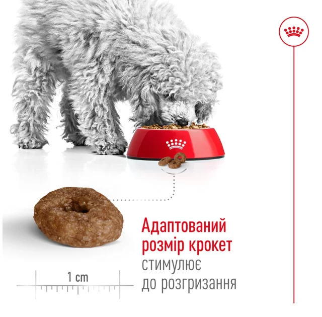 Сухий корм Royal Canin Mini Ageing 12+ для собак дрібних порід старше 12 років, 800 г