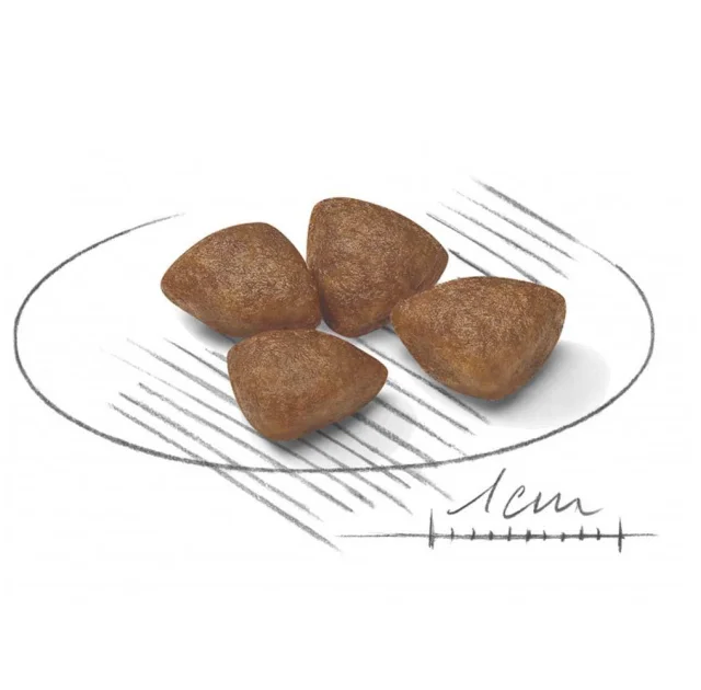 Сухий корм Royal Canin Mini Starter для годуючих собак дрібних порід, 1 кг