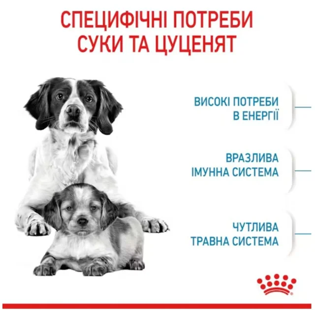 Сухий корм Royal Canin Medium Starter для годуючих собак середніх порід, 1 кг