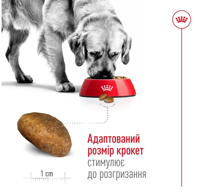 Сухий корм Royal Canin Maxi Adult 5+ для собак великих порід старше 5 років, 15 кг
