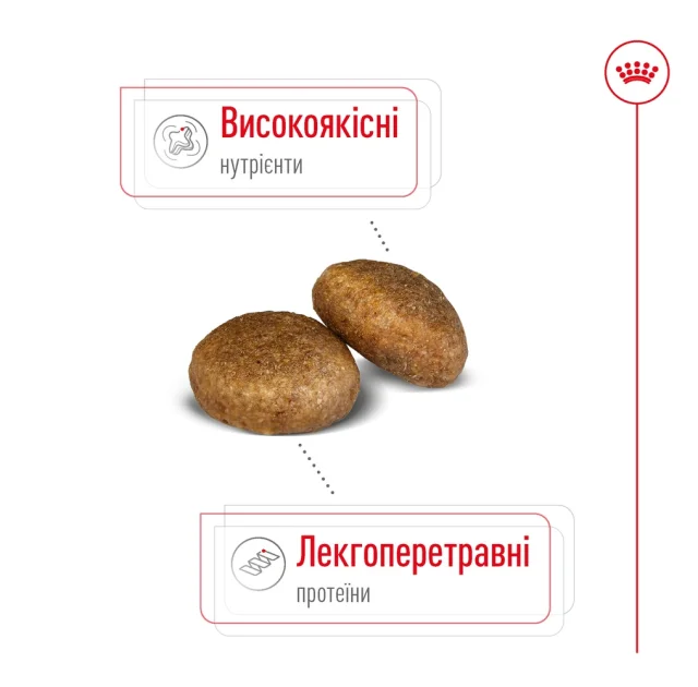 Сухий корм Royal Canin Maxi Adult 5+ для собак великих порід старше 5 років, 15 кг