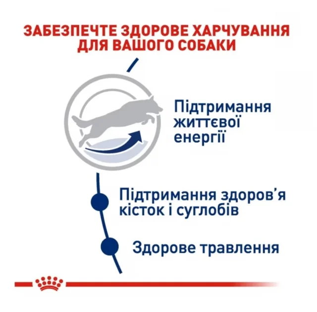 Сухий корм Royal Canin Maxi Adult 5+ для собак великих порід старше 5 років, 15 кг