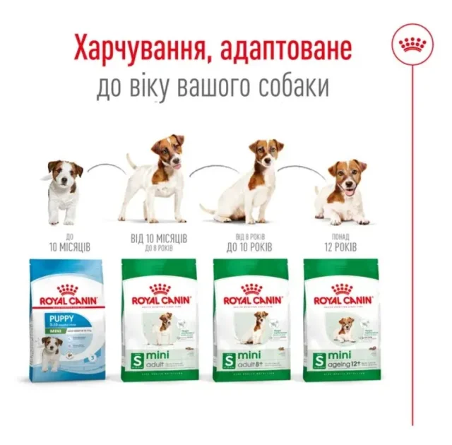 Сухий корм Royal Canin Mini Adult 8+ для собак дрібних порід старше 8 років, 800 г