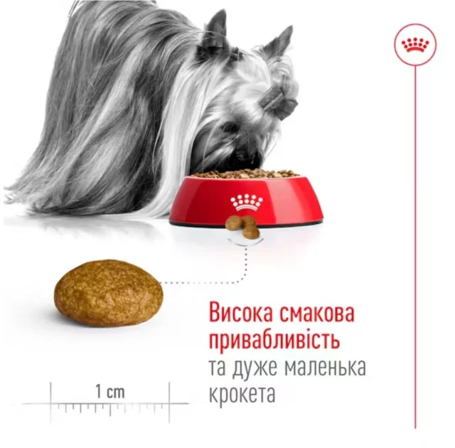 Сухий корм Royal Canin X-Small Adult для собак мініатюрних порід, 3 кг