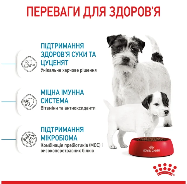 Сухий корм Royal Canin Mini Starter для годуючих собак дрібних порід, 8 кг