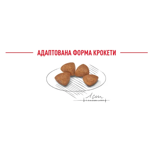 Сухий корм Royal Canin X-Small Puppy для цуценят мініатюрних порід до 10 місяців, 500 г