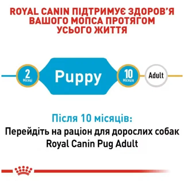 Сухий корм Royal Canin Pug Puppy для цуценят мопса до 10 місяців, 1.5 кг