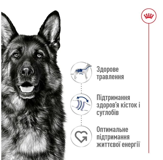 Сухий корм Royal Canin Maxi Adult для собак великих порід, 15 кг
