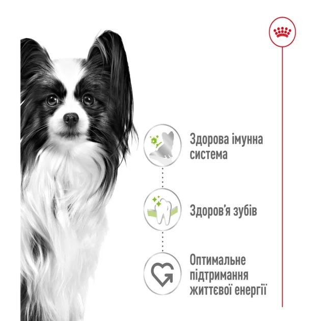 Сухий корм Royal Canin X-Small Adult для собак мініатюрних порід, 500 г