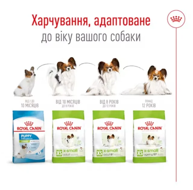 Сухий корм Royal Canin X-Small Adult для собак мініатюрних порід, 500 г