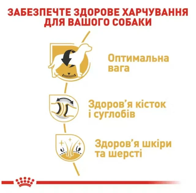 Сухий корм Royal Canin Labrador Retriever Adult для лабрадора, 12 кг