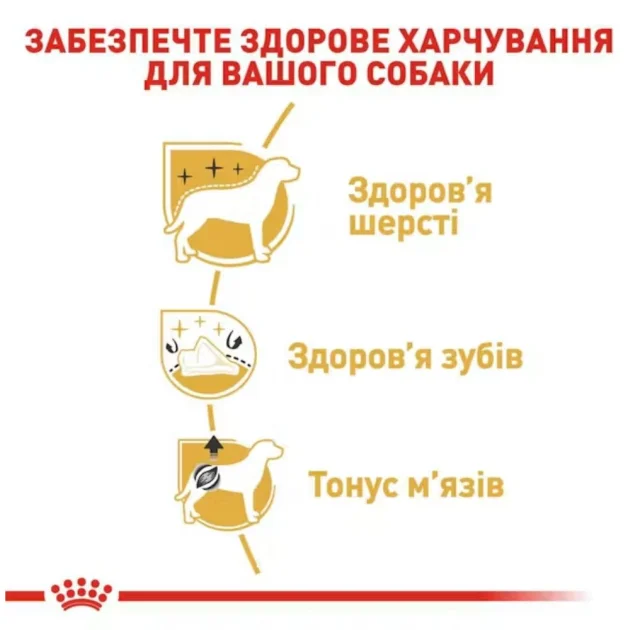 Сухий корм Royal Canin Poodle Adult для пуделів, 500 г