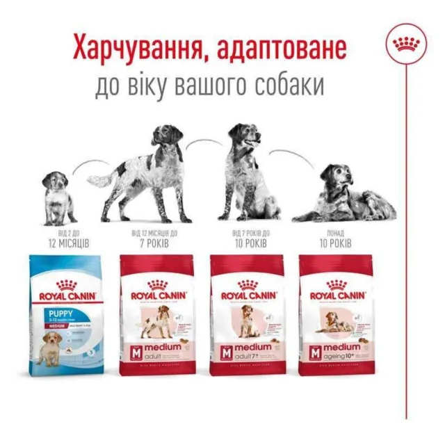 Сухий корм Royal Canin Medium Adult 7 + для собак середніх порід старше 7 років, 15 кг