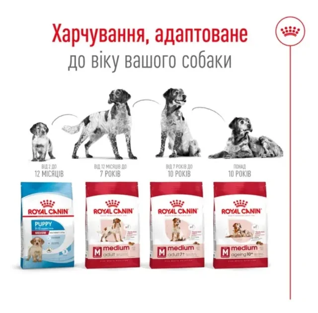 Сухий корм Royal Canin Medium Adult 7 + для собак середніх порід старше 7 років, 4 кг