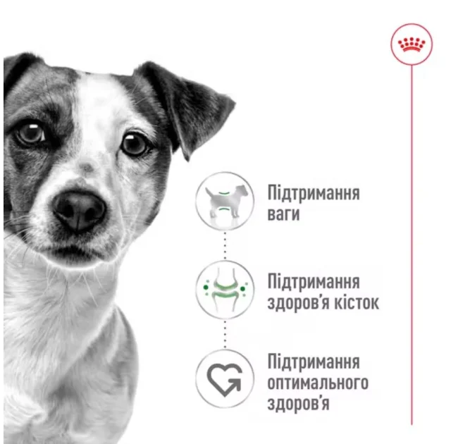 Вологий корм Royal Canin Mini Adult для дорослих собак дрібних порід, 85 г