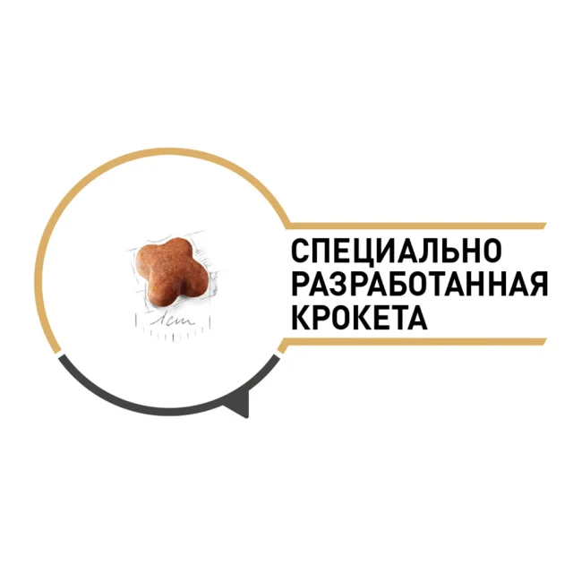 Сухий корм Royal Canin Jack Russell Terrier для цуценят джек рассел тер'єра 1.5 кг + 500 г у подарунок
