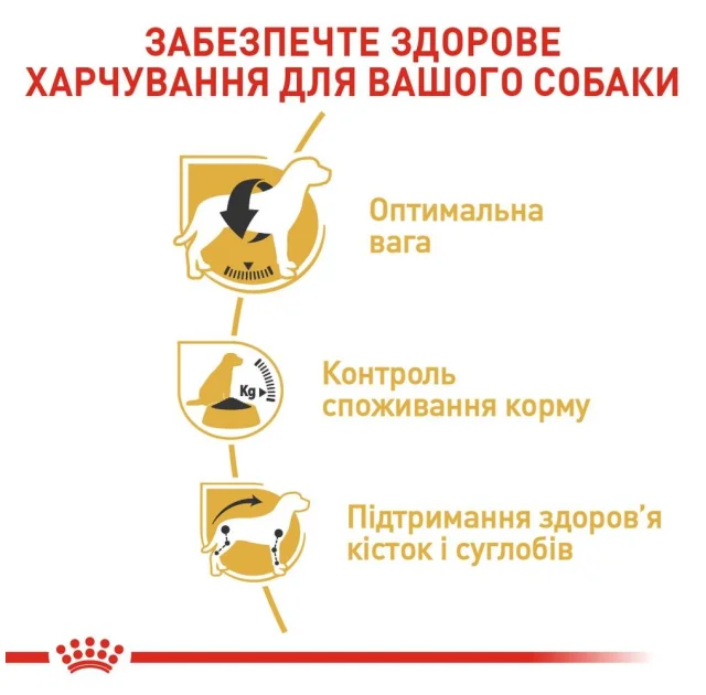 Сухий корм Royal Canin Beagle Adult для собак породи бігль, 3 кг