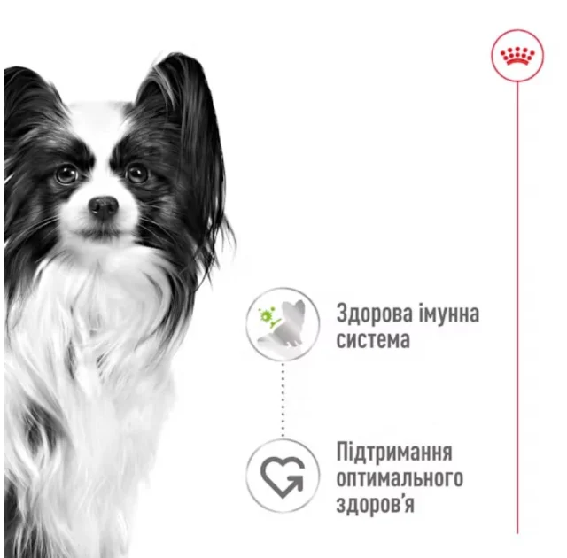 Вологий корм Royal Canin X-Small Adult для дорослих собак мініатюрних порід, шматочки в соусі, пауч, 85 г