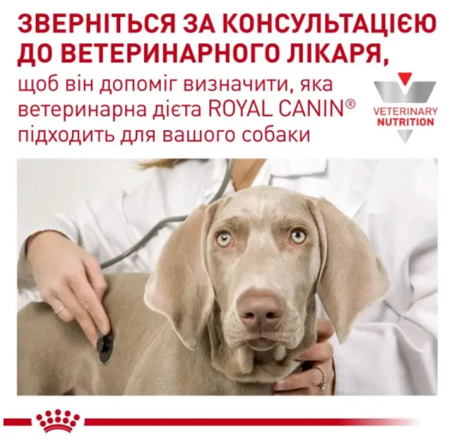 Сухий корм Royal Canin Gastrointestinal Low Fat Small Dog для собак малих порід, при порушеннях травлення, 3.5 кг