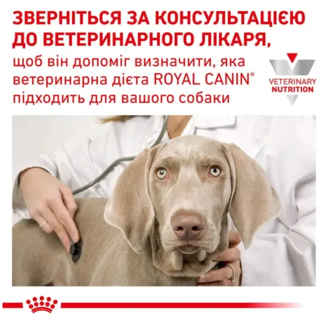 Сухий корм Royal Canin Gastro Intestinal Low Fat для собак, при порушеннях травлення, 6 кг