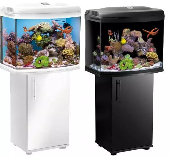 У чому різниця між морськими та прісноводними акваріумами