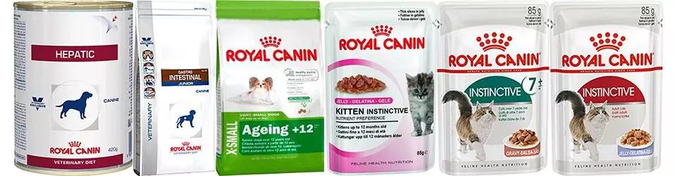 Найкращий корм для котів та собак - Royal Canin