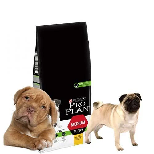 Кращі корми для собак - Актуальний рейтинг