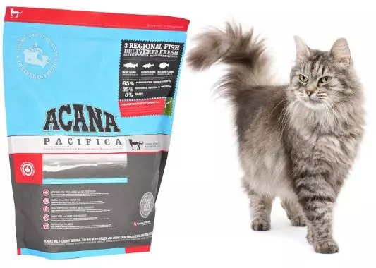 Чем кормить кота — Обзор лучших кормов