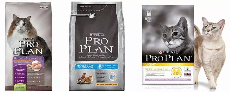 Рейтинг кращих кормів для котів - Огляд торгових марок