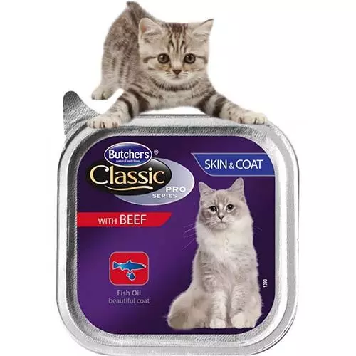 Рейтинг кращих кормів для котів - Огляд торгових марок