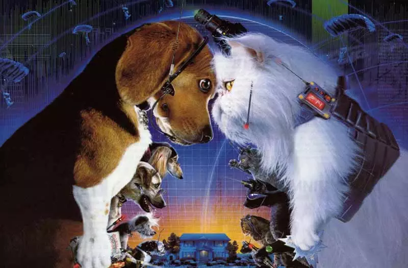 Кіно про собак - ТОП-11 фільмів