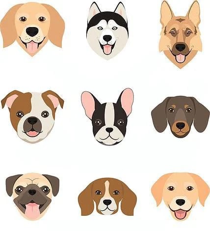 Клички для собак хлопчиків - Легкі та красиві