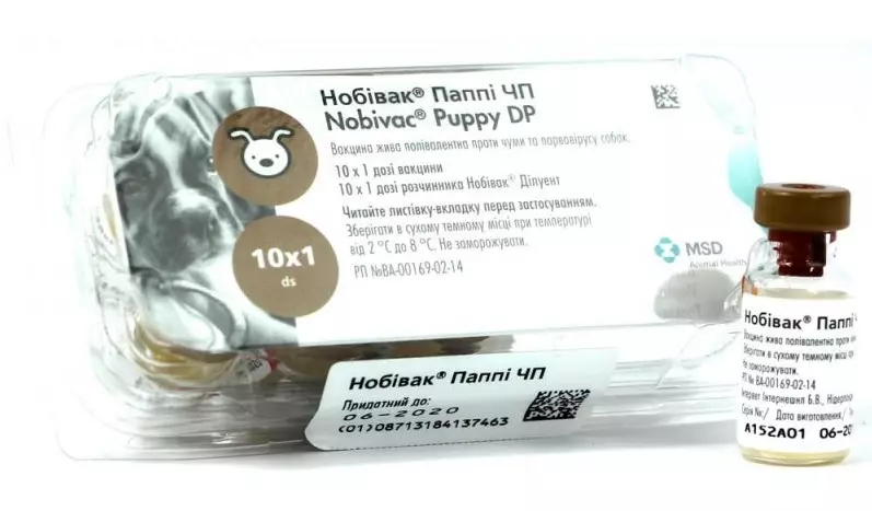 Які вакцини потрібно робити цуценятам, що б захистити від різних інфекцій