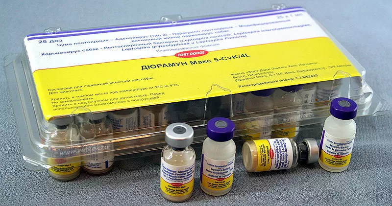 Які вакцини потрібно робити цуценятам, що б захистити від різних інфекцій