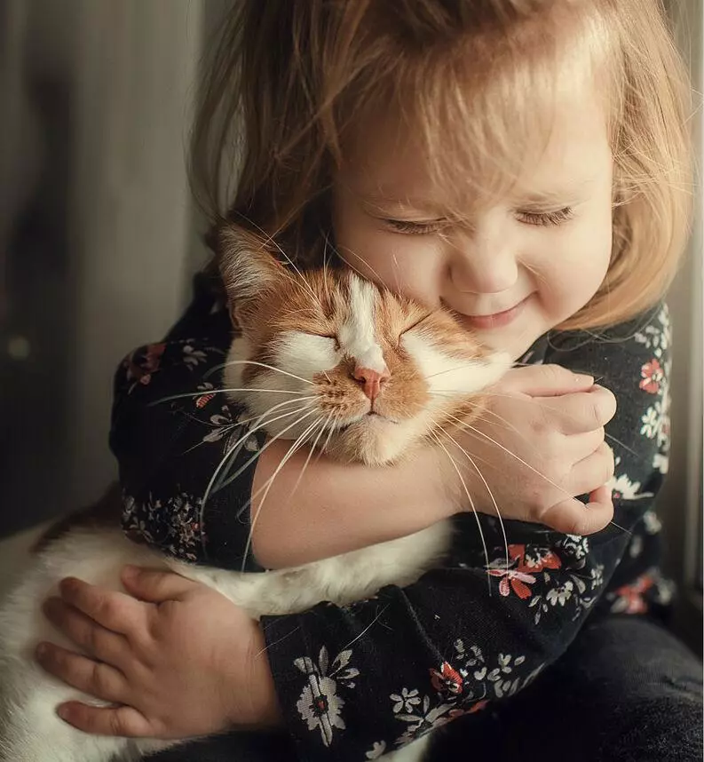 В якому віці краще робити кастрацію кота