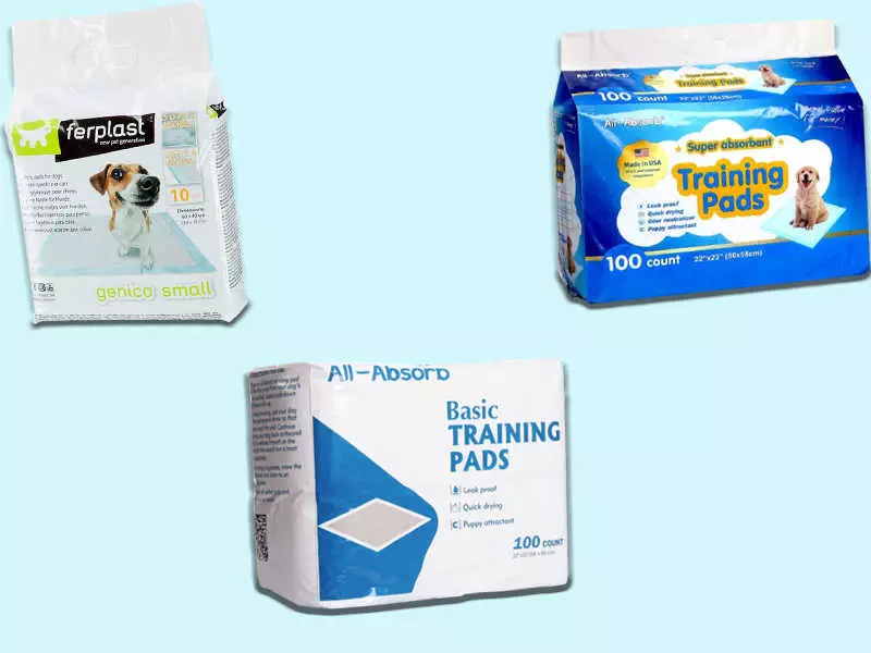 Як привчити собаку до пелюшці