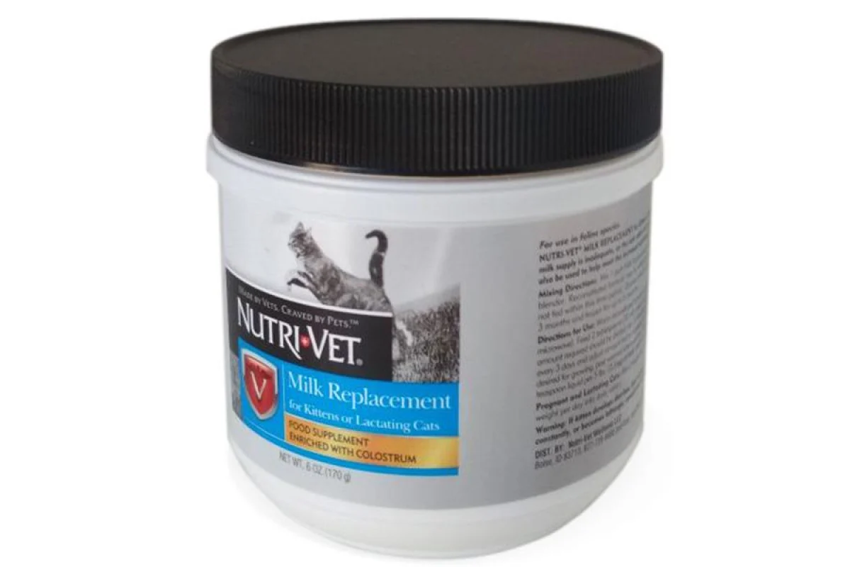 Чи можна кошенятам давати молоко